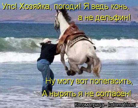 Упс! Хозяйка, погоди! Я ведь конь, а не дельфин! Ну могу вот попегасить, А нырять я не согласен!... Котоматрица: Упс! Хозяйка, погоди! Я ведь конь, а не дельфин! Ну могу вот попегасить, А нырять я не согласен!