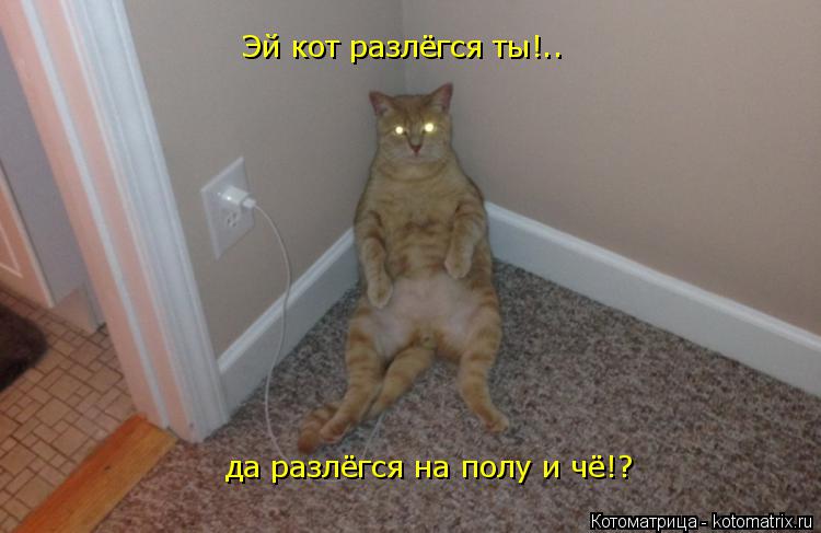 да разлёгся на полу и чё!? Эй кот разлёгся ты!..... Котоматрица: да разлёгся на полу и чё!? Эй кот разлёгся ты!..