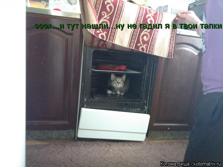эээх...и тут нашли...ну не гадил я в твои тапки...... Котоматрица: эээх...и тут нашли...ну не гадил я в твои тапки...