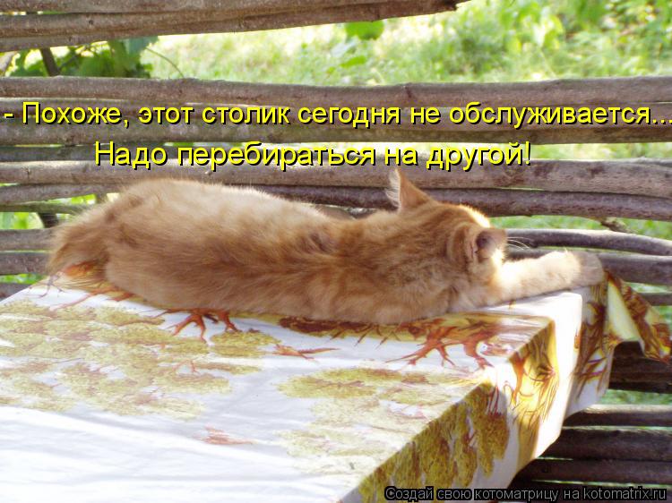 - Похоже, этот столик сегодня не обслуживается.... Надо перебираться на другой!... Котоматрица: - Похоже, этот столик сегодня не обслуживается.... Надо перебираться на другой!