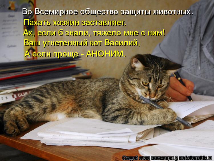 Во Всемирное общество защиты животных. Пахать хозяин заставляет. Ах, если б знали, тяжело мне с ним! ... Котоматрица: Во Всемирное общество защиты животных. Пахать хозяин заставляет. Ах, если б знали, тяжело мне с ним! Ваш угнетенный кот Василий, А если проще