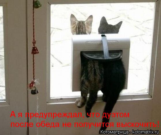 после обеда не получится выскочить! А я предупреждал, что дуэтом... Котоматрица: после обеда не получится выскочить! А я предупреждал, что дуэтом
