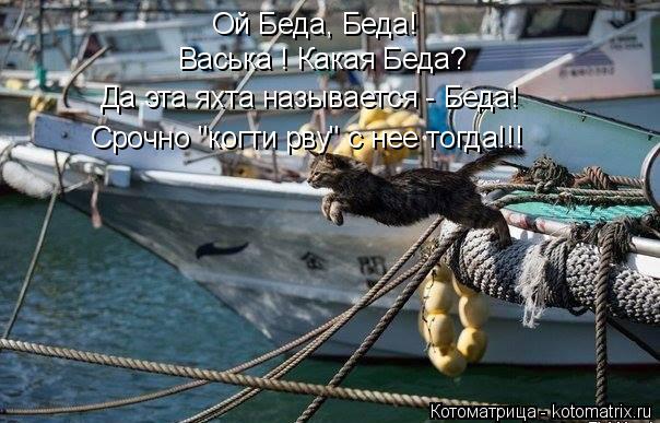 Васька ! Какая Беда? Ой Беда, Беда! Да эта яхта называется - Беда! Срочно "когти рву" с нее тогда!!!... Котоматрица: Васька ! Какая Беда? Ой Беда, Беда! Да эта яхта называется - Беда! Срочно "когти рву" с нее тогда!!!