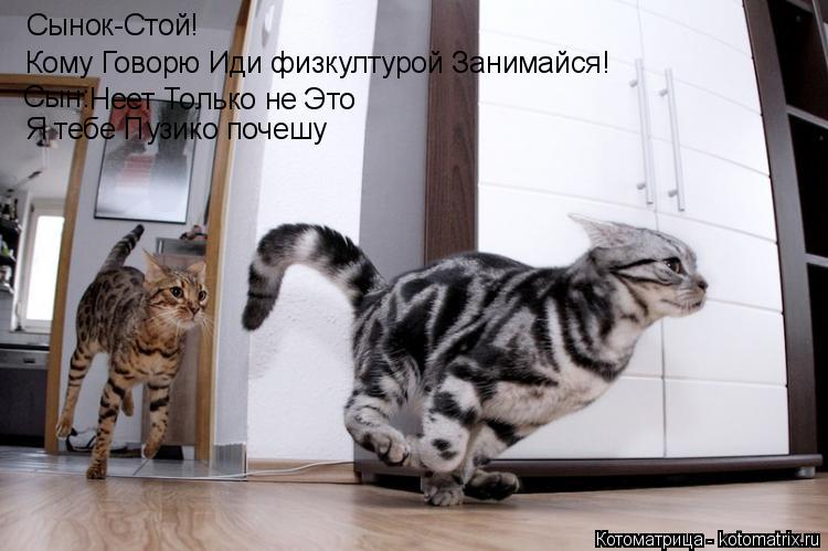Сынок-Стой! Кому Говорю Иди физкултурой Занимайся! Сын: Неет Только не Это Я тебе Пузико почешу... Котоматрица: Сынок-Стой! Кому Говорю Иди физкултурой Занимайся! Сын: Неет Только не Это Я тебе Пузико почешу