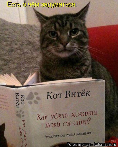 Есть о чём задуматься.... Котоматрица: Есть о чём задуматься.