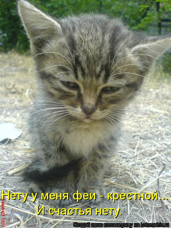 Нету у меня феи - крестной... И счастья нету.... Котоматрица: Нету у меня феи - крестной... И счастья нету.