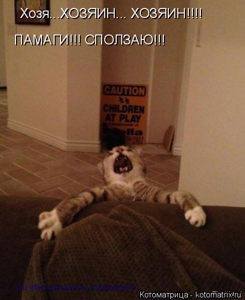 Котоматрица: Хозя...ХОЗЯИН... ХОЗЯИН!!!! ПАМАГИ!!! СПОЛЗАЮ!!! ( Ошибки допущены специально )