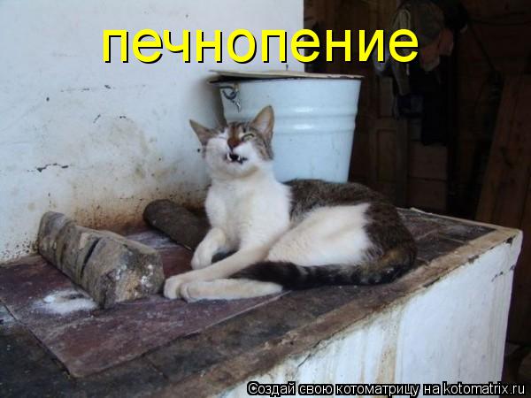 печнопение... Котоматрица: печнопение