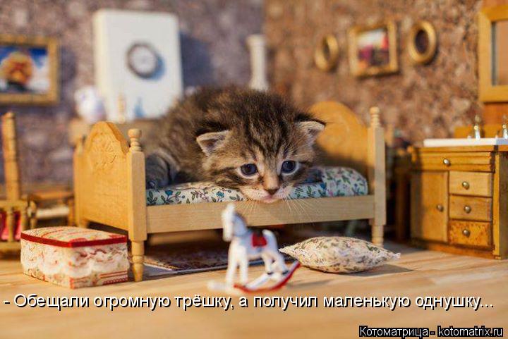 - Обещали огромную трёшку, а получил маленькую однушку...... Котоматрица: - Обещали огромную трёшку, а получил маленькую однушку...