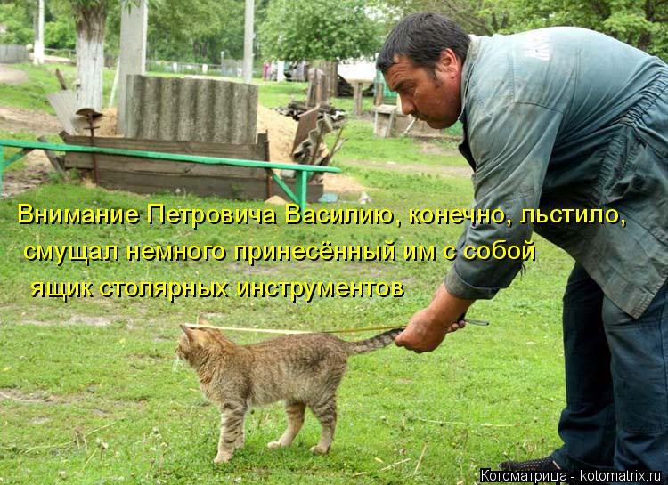 Внимание Петровича Василию, конечно, льстило, смущал немного принесённый им с собой ящик столярных ин... Котоматрица: Внимание Петровича Василию, конечно, льстило, смущал немного принесённый им с собой ящик столярных инструментов