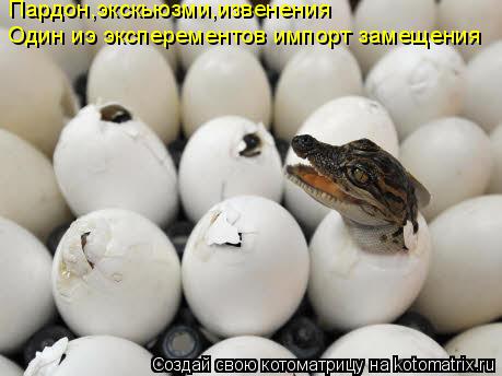 Один иэ эксперементов импорт замещения Пардон,экскьюзми,извенения... Котоматрица: Один иэ эксперементов импорт замещения Пардон,экскьюзми,извенения