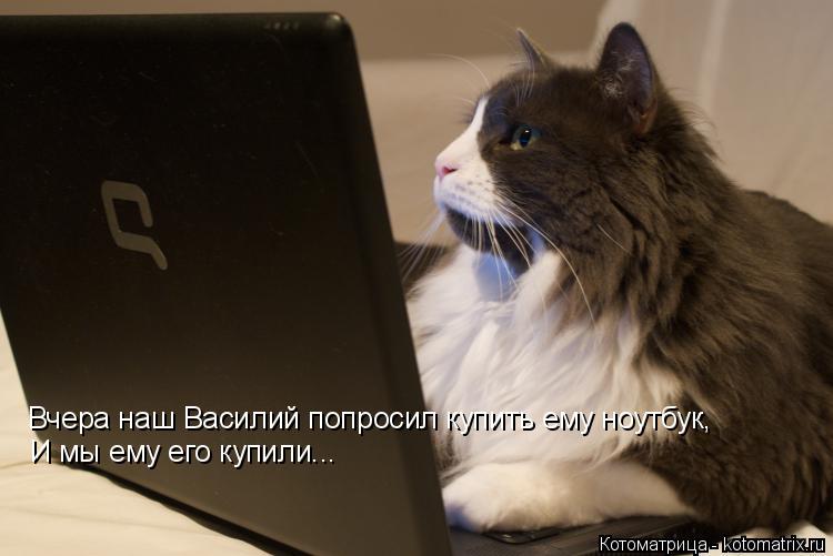 Вчера наш Василий попросил купить ему ноутбук, И мы ему его купили...... Котоматрица: Вчера наш Василий попросил купить ему ноутбук, И мы ему его купили...