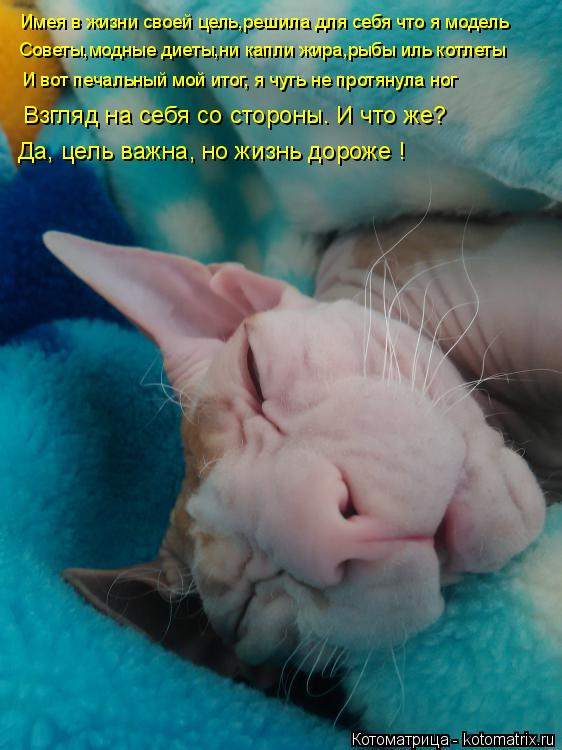 Имея в жизни своей цель,решила для себя что я модель Советы,модные диеты,ни капли жира,рыбы иль котле... Котоматрица: Имея в жизни своей цель,решила для себя что я модель Советы,модные диеты,ни капли жира,рыбы иль котлеты И вот печальный мой итог, я чуть не пр