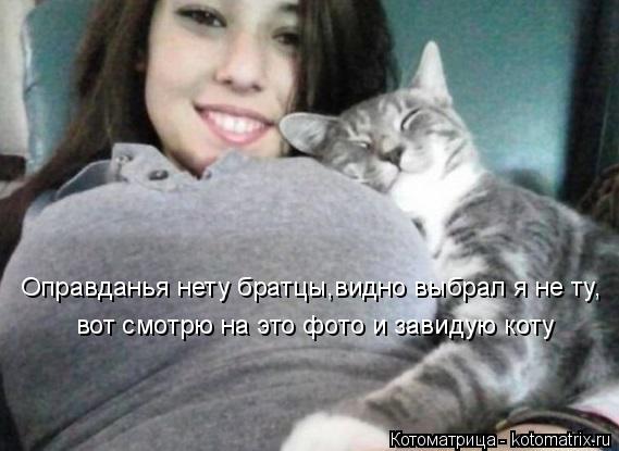 вот смотрю на это фото и завидую коту Оправданья нету братцы,видно выбрал я не ту,... Котоматрица: вот смотрю на это фото и завидую коту Оправданья нету братцы,видно выбрал я не ту,