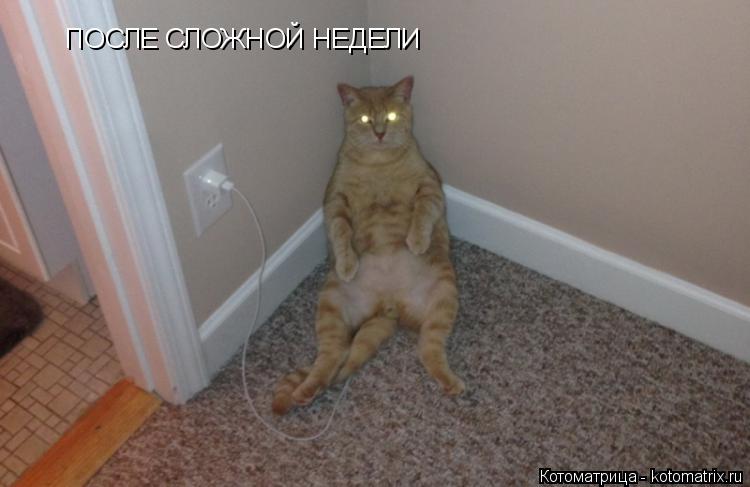 ПОСЛЕ СЛОЖНОЙ НЕДЕЛИ ПОСЛЕ СЛОЖНОЙ НЕДЕЛИ... Котоматрица: ПОСЛЕ СЛОЖНОЙ НЕДЕЛИ ПОСЛЕ СЛОЖНОЙ НЕДЕЛИ