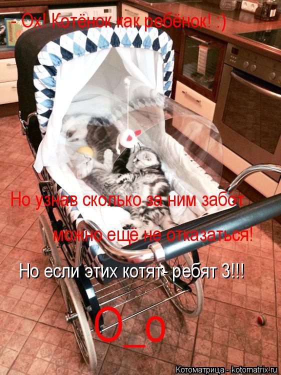 Но узнав сколько за ним забот можно ещё не отказаться! Но если этих котят- ребят 3!!! О_о - Ох! Котён... Котоматрица: Но узнав сколько за ним забот можно ещё не отказаться! Но если этих котят- ребят 3!!! О_о - Ох! Котёнок как ребёнок! :)