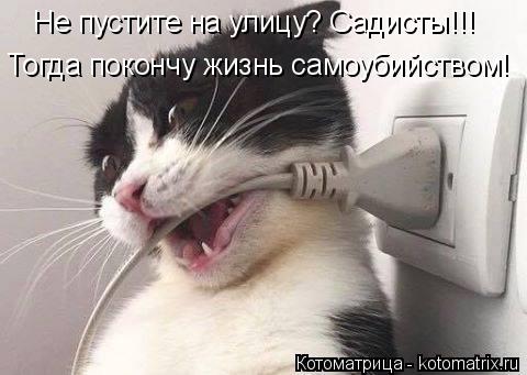 Не пустите на улицу? Садисты!!! Тогда покончу жизнь самоубийством!... Котоматрица: Не пустите на улицу? Садисты!!! Тогда покончу жизнь самоубийством!