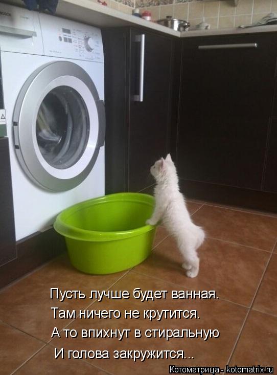 Пусть лучше будет ванная. Там ничего не крутится. А то впихнут в стиральную И голова закружится...... Котоматрица: Пусть лучше будет ванная. Там ничего не крутится. А то впихнут в стиральную И голова закружится...