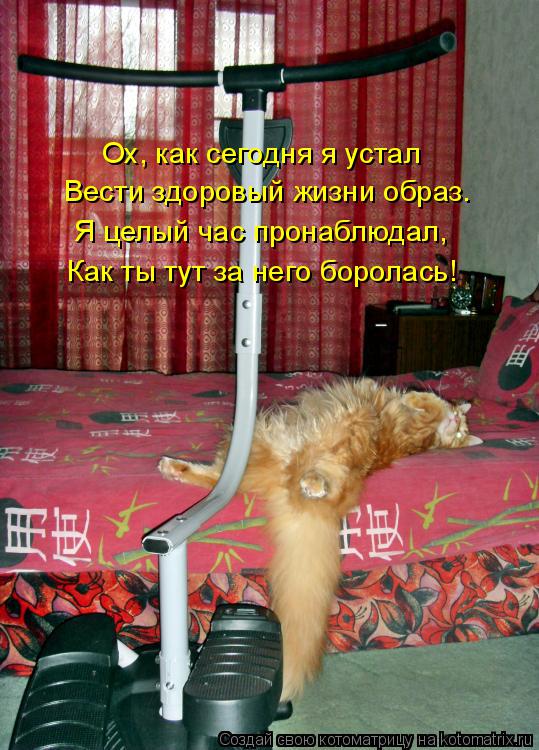 Ох, как сегодня я устал Вести здоровый жизни образ. Я целый час пронаблюдал, Как ты тут за него борол... Котоматрица: Ох, как сегодня я устал Вести здоровый жизни образ. Я целый час пронаблюдал, Как ты тут за него боролась!