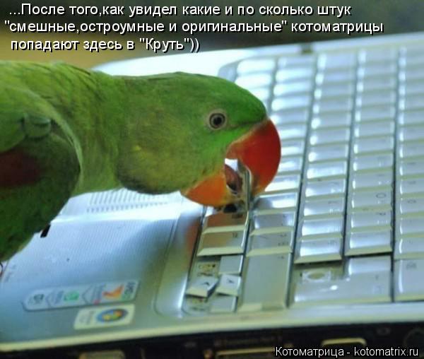 ...После того,как увидел какие и по сколько штук "смешные,остроумные и оригинальные" котоматрицы поп... Котоматрица: ...После того,как увидел какие и по сколько штук "смешные,остроумные и оригинальные" котоматрицы попадают здесь в "Круть"))