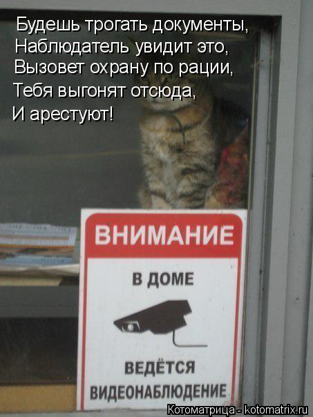Будешь трогать документы, Наблюдатель увидит это, Вызовет охрану по рации, Тебя выгонят отсюда, И аре... Котоматрица: Будешь трогать документы, Наблюдатель увидит это, Вызовет охрану по рации, Тебя выгонят отсюда, И арестуют!