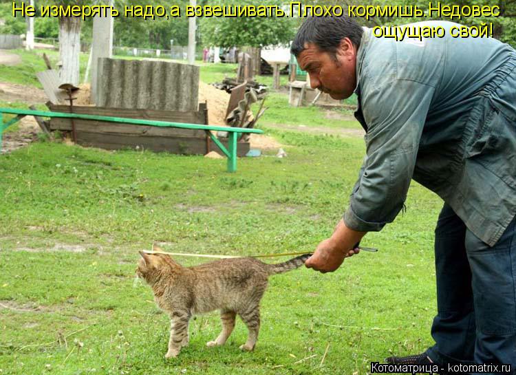 Не измерять надо,а взвешивать.Плохо кормишь.Недовес ощущаю свой!... Котоматрица: Не измерять надо,а взвешивать.Плохо кормишь.Недовес ощущаю свой!