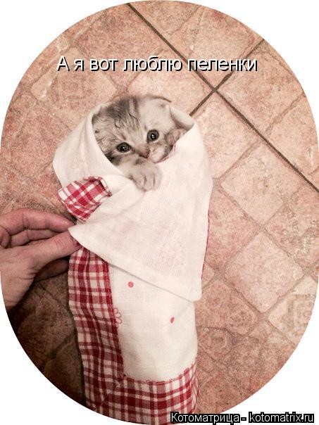 А я вот люблю пеленки... Котоматрица: А я вот люблю пеленки