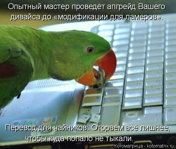 Опытный мастер проведёт апгрейд Вашего дивайса до «модификации для ламеров». Перевод для чайников: ... Котоматрица: Опытный мастер проведёт апгрейд Вашего дивайса до «модификации для ламеров». Перевод для чайников: Оторвём всё лишнее, чтобы куда попало