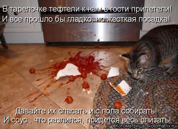 В тарелочке тефтели к нам в гости прилетели! И соус , что разлился, придется весь слизать! Давайте их... Котоматрица: В тарелочке тефтели к нам в гости прилетели! И соус , что разлился, придется весь слизать! Давайте их спасать и с пола собирать! И все прошло б