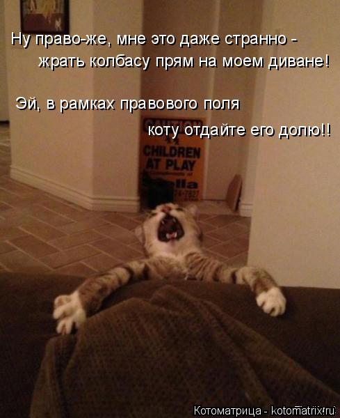 Ну право-же, мне это даже странно - жрать колбасу прям на моем диване! Эй, в рамках правового поля ко... Котоматрица: Ну право-же, мне это даже странно - жрать колбасу прям на моем диване! Эй, в рамках правового поля коту отдайте его долю!!