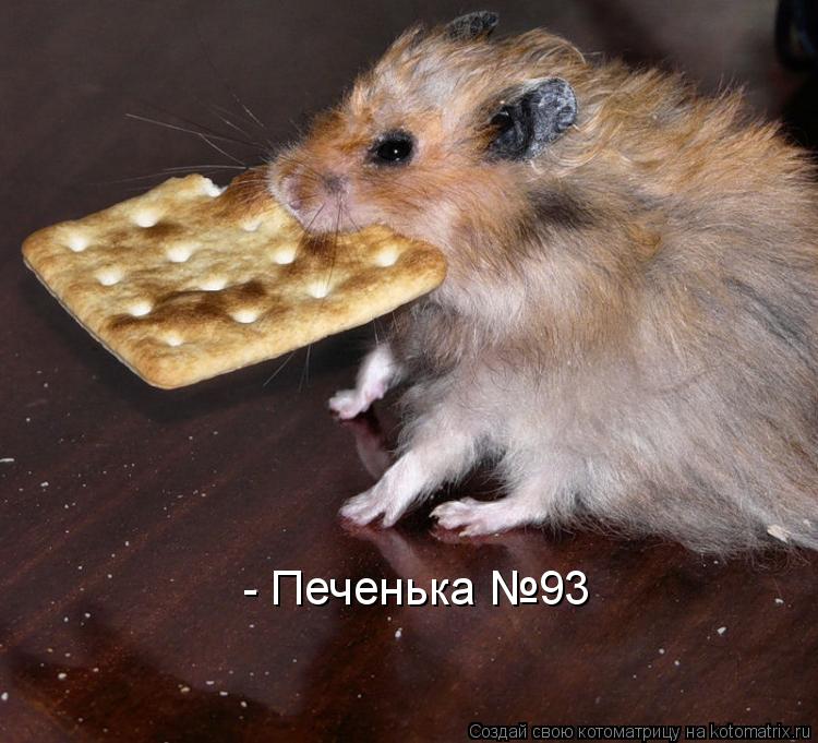 - Печенька №93... Котоматрица: - Печенька №93