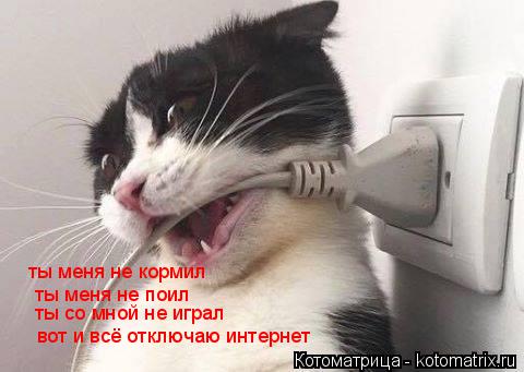 ты меня не кормил ты меня не поил ты со мной не играл вот и всё отключаю интернет... Котоматрица: ты меня не кормил ты меня не поил ты со мной не играл вот и всё отключаю интернет