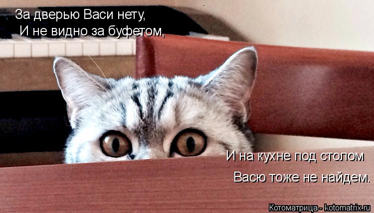 За дверью Васи нету, И не видно за буфетом, И на кухне под столом Васю тоже не найдем.... Котоматрица: За дверью Васи нету, И не видно за буфетом, И на кухне под столом Васю тоже не найдем.