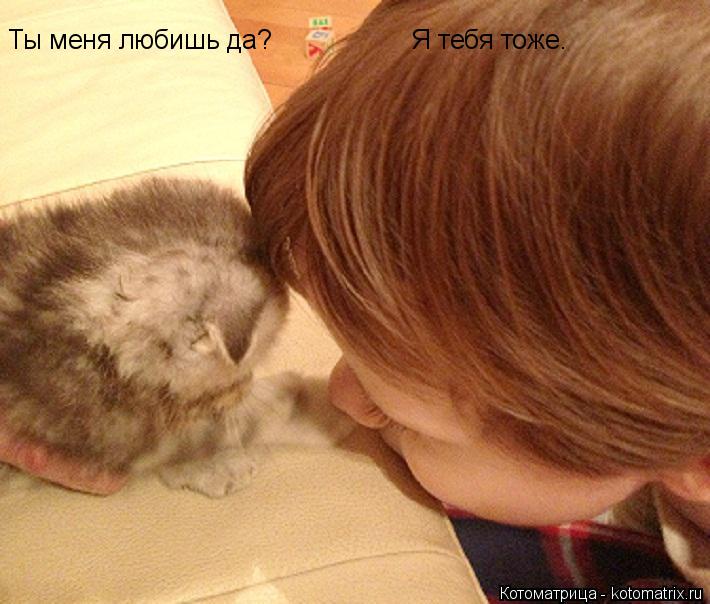 Ты меня любишь да? Я тебя тоже.... Котоматрица: Ты меня любишь да? Я тебя тоже.