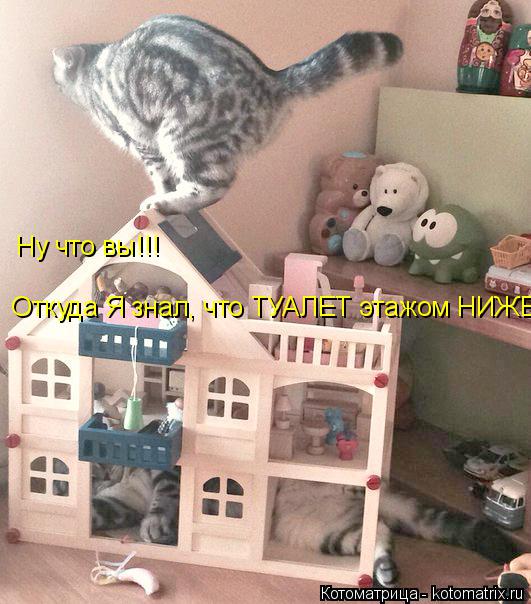 Ну что вы!!! Откуда Я знал, что ТУАЛЕТ этажом НИЖЕ!!!... Котоматрица: Ну что вы!!! Откуда Я знал, что ТУАЛЕТ этажом НИЖЕ!!!