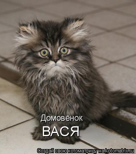 Домовёнок ВАСЯ... Котоматрица: Домовёнок ВАСЯ