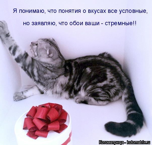 Я понимаю, что понятия о вкусах все условные, но заявляю, что обои ваши - стремные!!... Котоматрица: Я понимаю, что понятия о вкусах все условные, но заявляю, что обои ваши - стремные!!