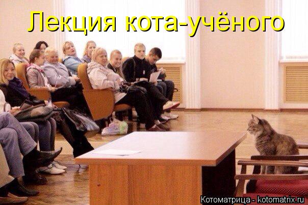 Лекция кота-учёного... Котоматрица: Лекция кота-учёного