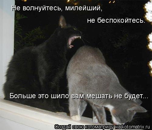 Не волнуйтесь, милейший, не беспокойтесь. Больше это шило вам мешать не будет...... Котоматрица: Не волнуйтесь, милейший, не беспокойтесь. Больше это шило вам мешать не будет...