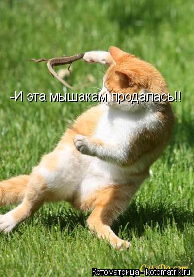 -И эта мышакам продалась!!... Котоматрица: -И эта мышакам продалась!!