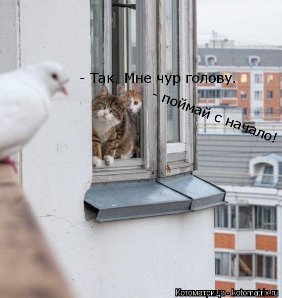 - Так. Мне чур голову. - поймай с начало!... Котоматрица: - Так. Мне чур голову. - поймай с начало!