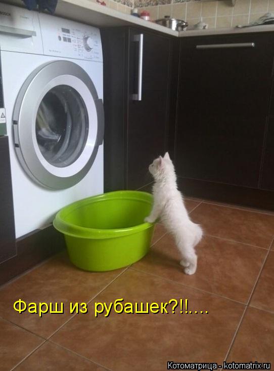 Фарш из рубашек?!!....... Котоматрица: Фарш из рубашек?!!....