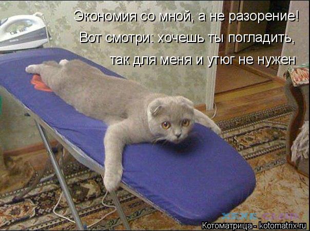 Экономия со мной, а не разорение! Вот смотри: хочешь ты погладить, так для меня и утюг не нужен... Котоматрица: Экономия со мной, а не разорение! Вот смотри: хочешь ты погладить, так для меня и утюг не нужен