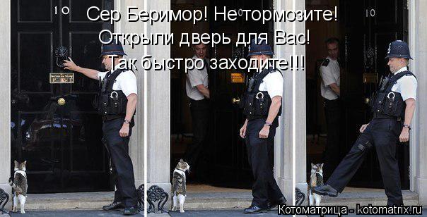 Сер Беримор! Не тормозите! Открыли дверь для Вас! Так быстро заходите!!!... Котоматрица: Сер Беримор! Не тормозите! Открыли дверь для Вас! Так быстро заходите!!!