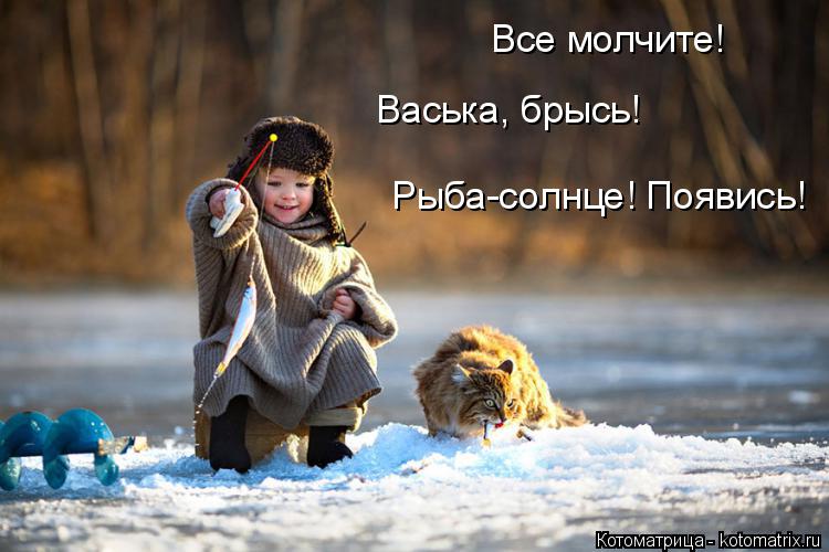 Все молчите! Васька, брысь! Рыба-солнце! Появись!... Котоматрица: Все молчите! Васька, брысь! Рыба-солнце! Появись!