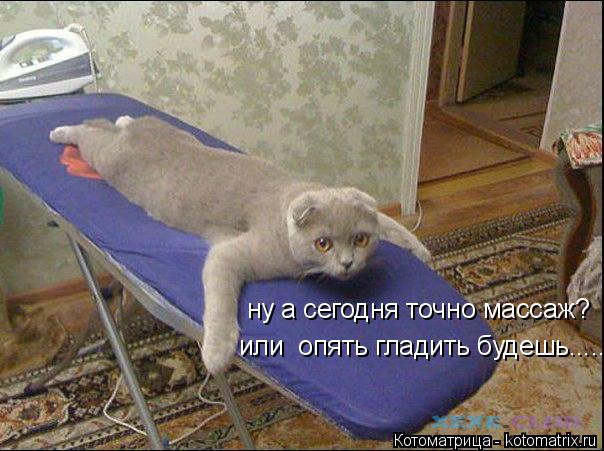 ну а сегодня точно массаж? или опять гладить будешь......... Котоматрица: ну а сегодня точно массаж? или опять гладить будешь......