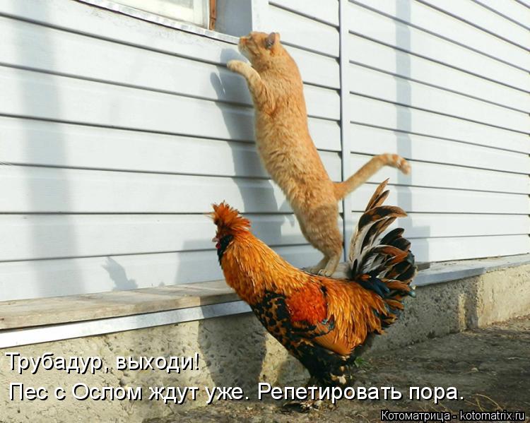 Трубадур, выходи! Пес с Ослом ждут уже. Репетировать пора.... Котоматрица: Трубадур, выходи! Пес с Ослом ждут уже. Репетировать пора.