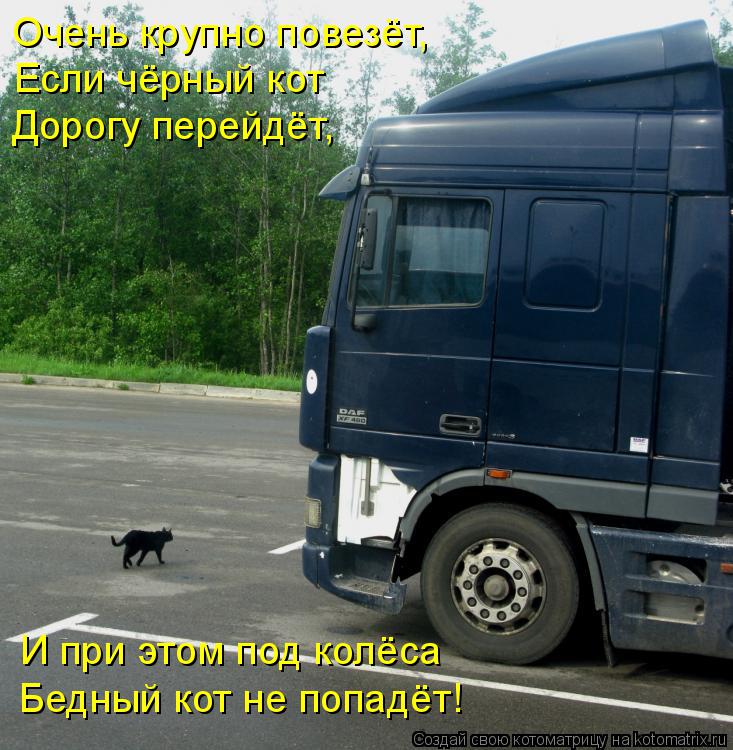 Очень крупно повезёт, Если чёрный кот Дорогу перейдёт, И при этом под колёса Бедный кот не попадёт!... Котоматрица: Очень крупно повезёт, Если чёрный кот Дорогу перейдёт, И при этом под колёса Бедный кот не попадёт!
