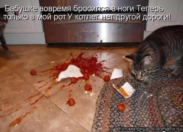 Бабушке вовремя бросился в ноги.Теперь только в мой рот.У котлет нет другой дороги!... Котоматрица: Бабушке вовремя бросился в ноги.Теперь только в мой рот.У котлет нет другой дороги!