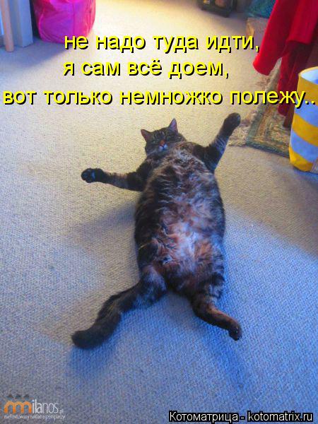 не надо туда идти, я сам всё доем, вот только немножко полежу...... Котоматрица: не надо туда идти, я сам всё доем, вот только немножко полежу...